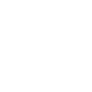 Logo Clientes - Via Sul Jeep