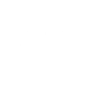 Logo Clientes - Via Sul RAM